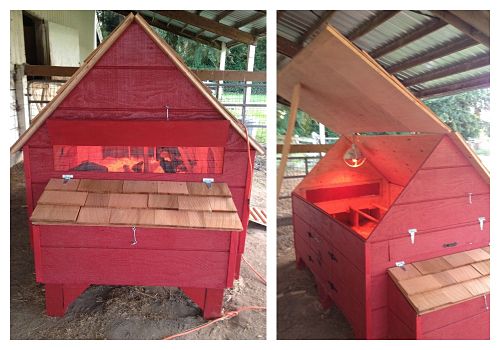 Build Your Own Chicken Coop – Heidi’s Chicken Coop