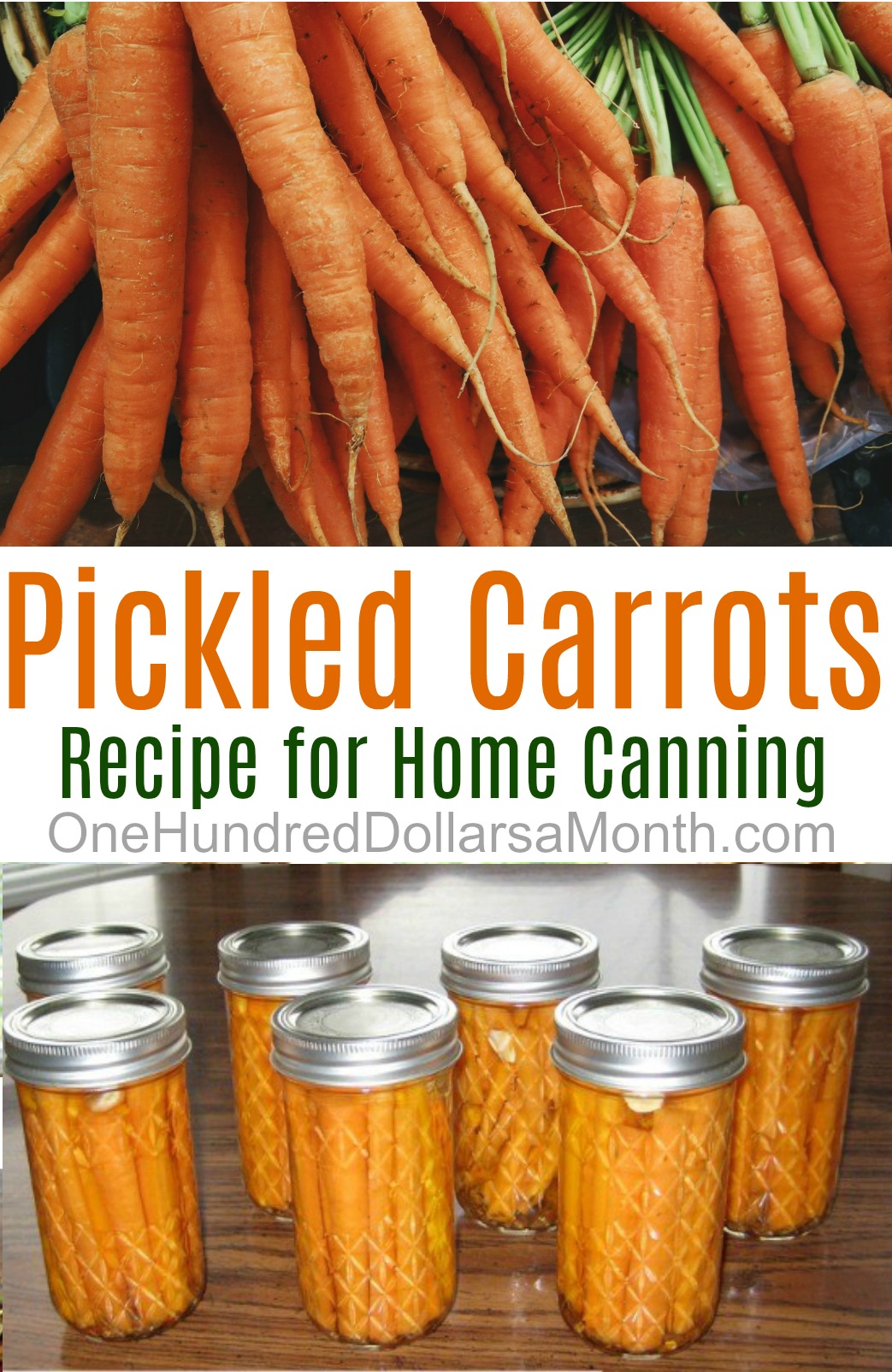 Canning 101 Pickled Dill Carrots One Hundred Dollars a Month
