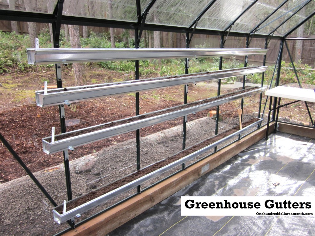 How to Grow Food in a Greenhouse: Update on Newly Planted ...