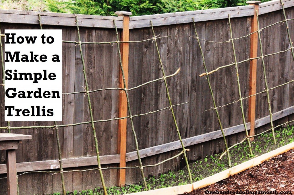 How to Make a Rustic Pea or Bean Trellis Out of Sticks ...