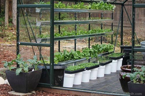 How to Find Free Containers For Your Garden - One Hundred Dollars a Month