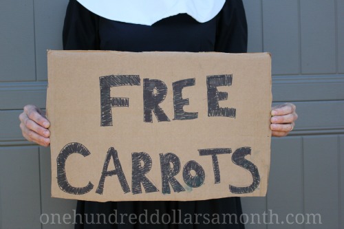 Mavis Garden Blog – Channel Your Inner Pilgrim Episode 1 : Free Carrots