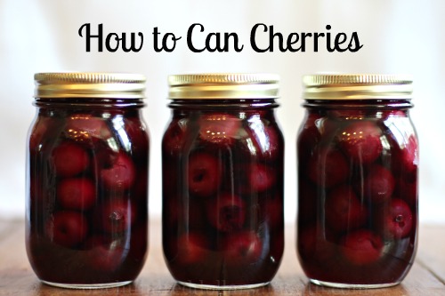cherry tart recipe with canned cherries