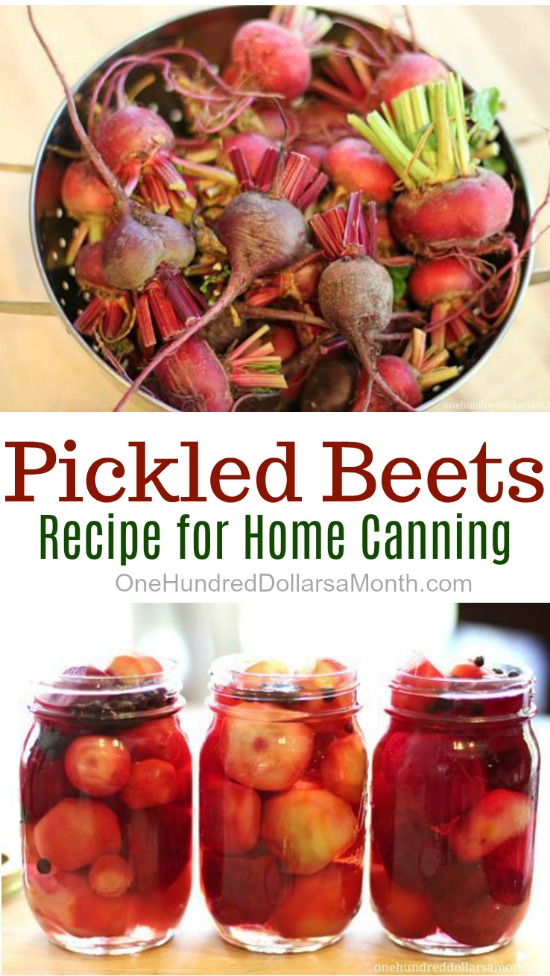 Recipe - How to Can Beets {Pickled Beets} - One Hundred Dollars a Month