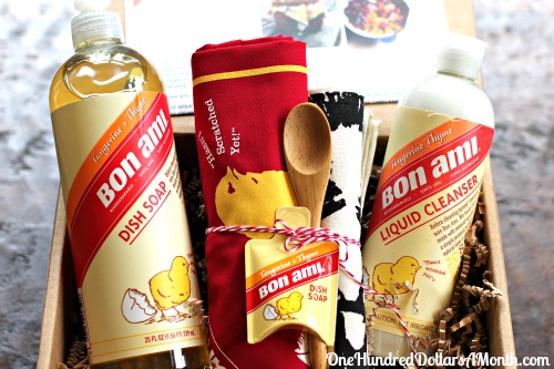 {Giveaway} Enter to Win a Bon Ami Canning Clean Up Kit