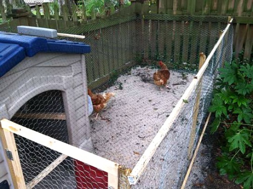Chicken Coop Ideas - Turn a Kids Playhouse into a Chicken ...