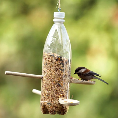 Easy Kids Crafts - DIY Bird Feeders Ideas - One Hundred Dollars a Month