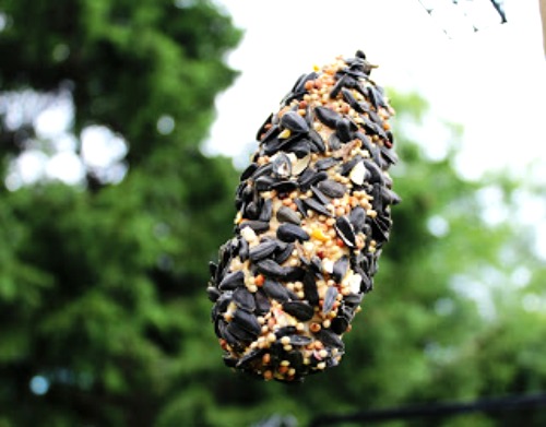 Easy Kids Crafts – DIY Bird Feeders Ideas