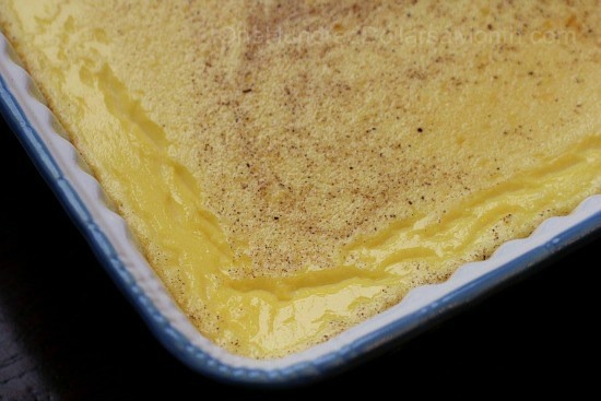 Old Fashioned Egg Custard Recipe - One Hundred Dollars a Month