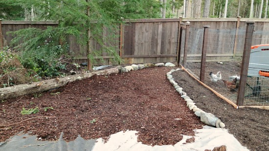 garden plot pictures Archives - One Hundred Dollars a Month