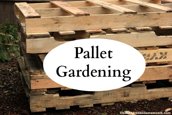 Pallet Gardening 101 Creating A Pallet Garden One Hundred Dollars A Month