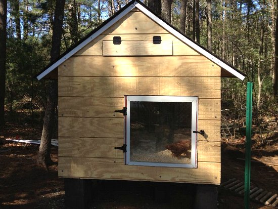 Heather's Chicken Coop Made from Recycled Wood Pallets ...