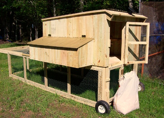 Cool Chicken Coop Designs and Chicken Stories of 2013 