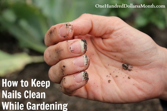 How to Keep Nails Clean While Gardening - One Hundred Dollars a Month
