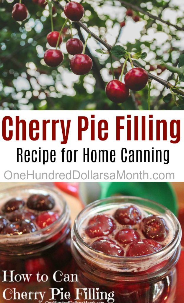 Canning 101 Recipe - Cherry Pie Filling - One Hundred Dollars a Month