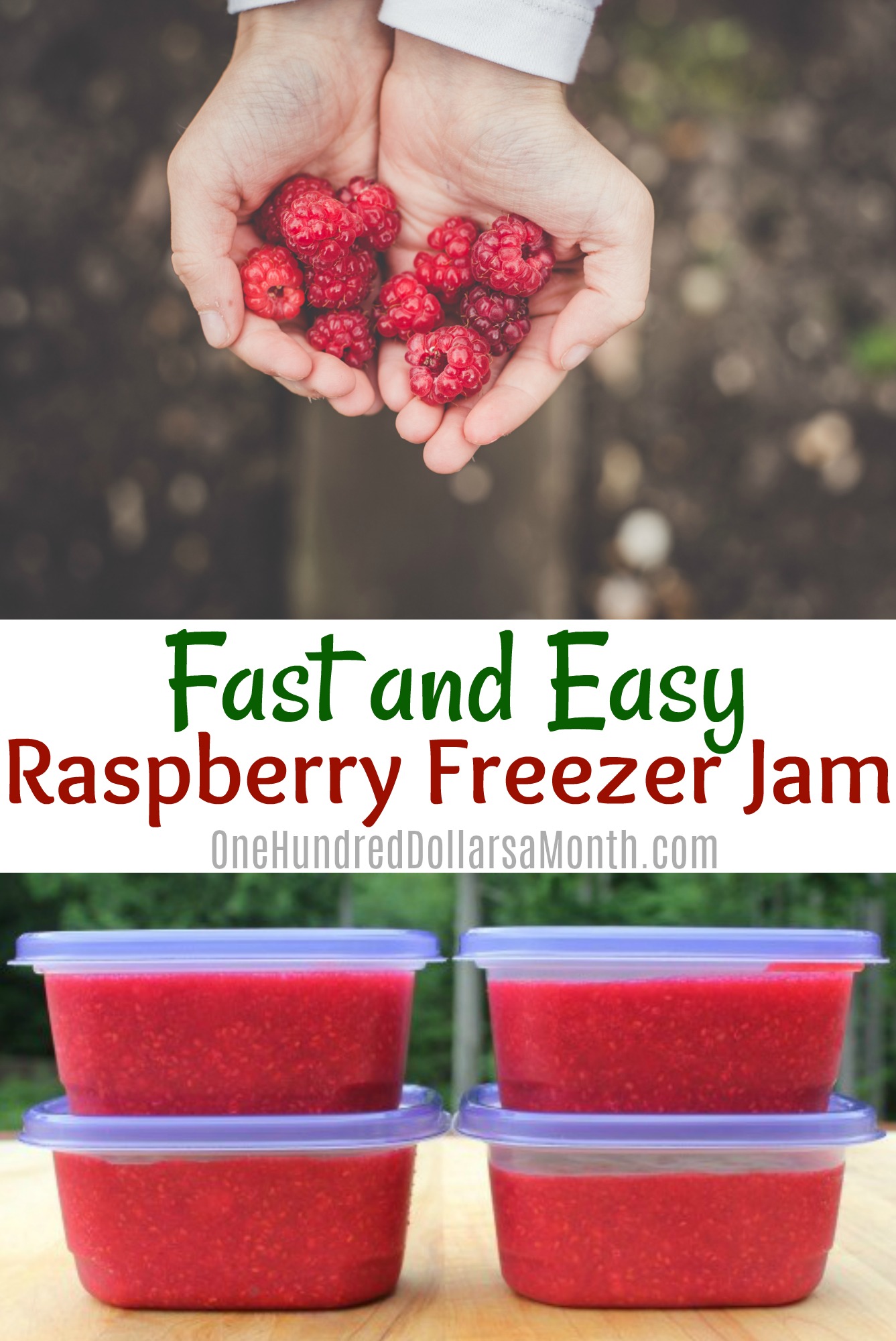 Fast and Easy Raspberry Freezer Jam One Hundred Dollars a Month