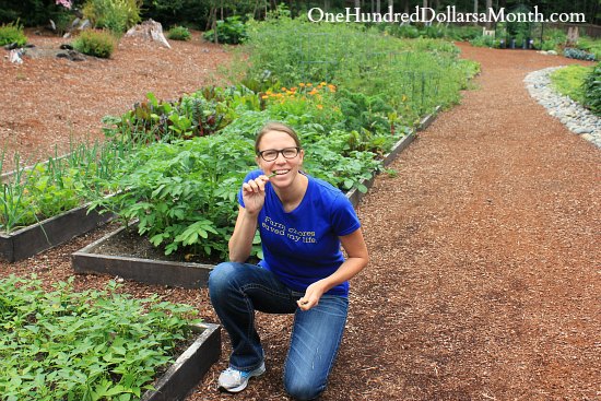 How to Grow Your Own Food – 7/31/2013 Garden Tally