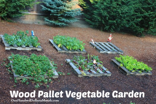vertical garden vegetable pallet diy One Abundance Gardening   Strawberries!  Pallet of An