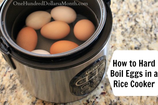 Hard Boiled Eggs In A Dash Mini Rice Cooker 🥚 