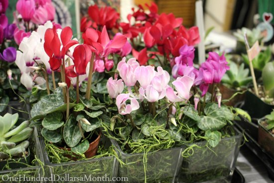 Our Big List Of Home  Garden Shows Greater Seattle On