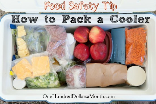 https://onehundreddollarsamonth.com/wp-content/uploads/2014/03/Food-Safety-Tip-How-to-Pack-a-Cooler.jpg