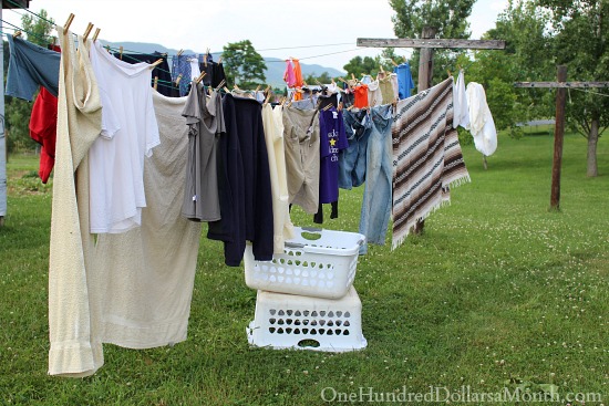 Clothesline cost best sale