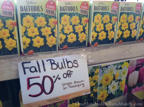 zondaar Tochi boom Waarnemen Spring Bulbs 50% off at The Home Depot - One Hundred Dollars a Month