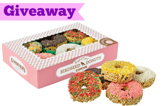 Giveaway: Songbird Tweets Bird Seed Donuts