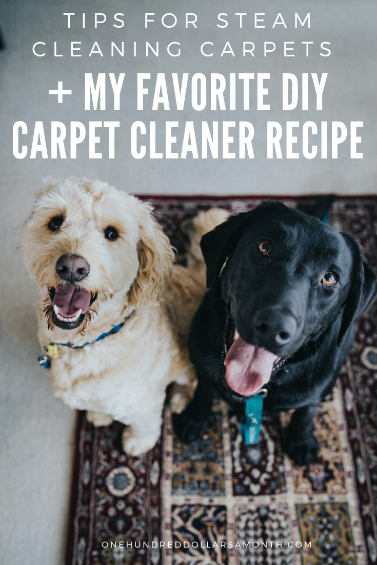 How to Clean Carpet with a Handheld Steamer [Easy DIY Guide]