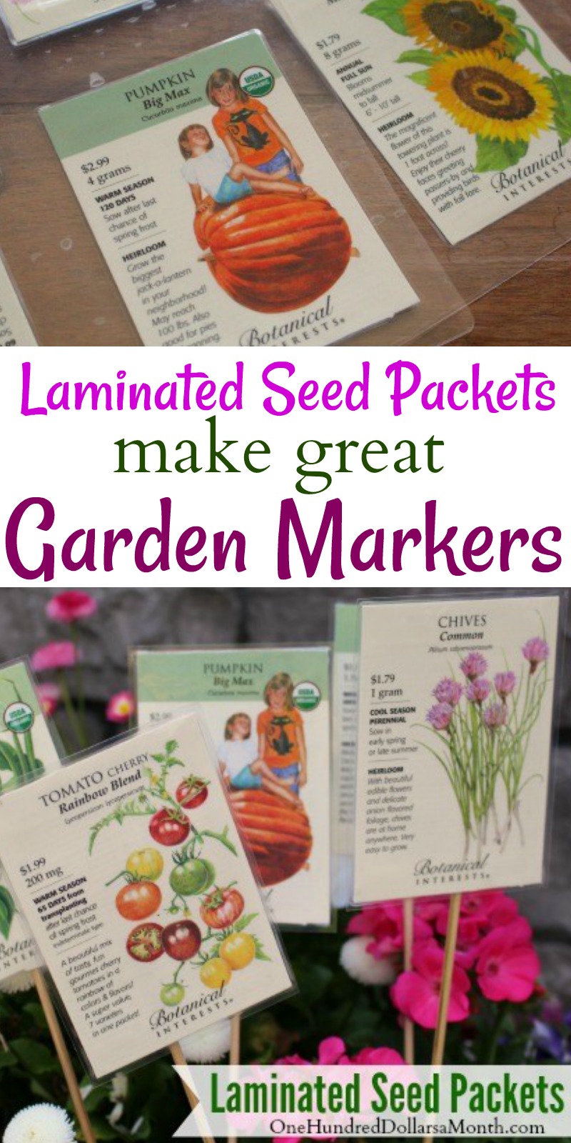 Garden Markers Laminated Seed Packets One Hundred Dollars A Month
