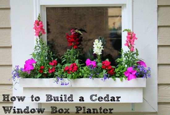 How to Build a Cedar Window Box Planter - One Hundred 