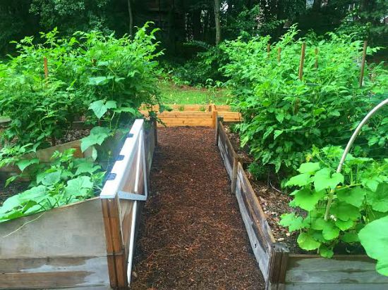 Mavis Mail - Heather From Massachusetts Sends in Her Backyard Garden