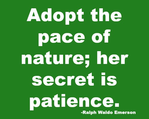 High Intensity Workouts, Zoe Olive Oil, Planting Peas in Eggshells