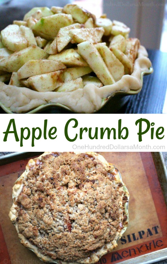 The Best Apple Crumb Pie Recipe on the Planet - One Hundred Dollars a Month