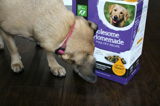 only natural pet bully sticks