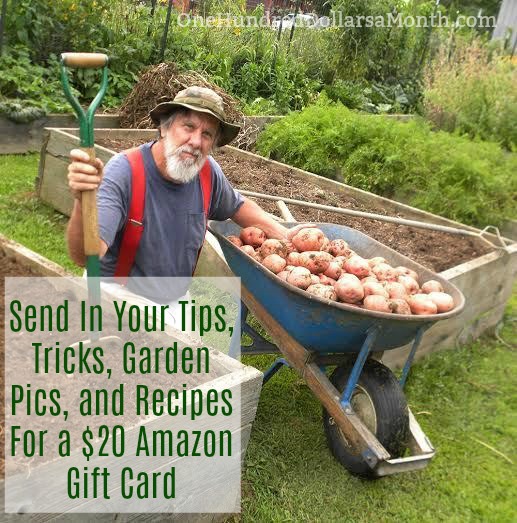 Send In Your Tips, Tricks, Garden Pics, and Recipes For a ...