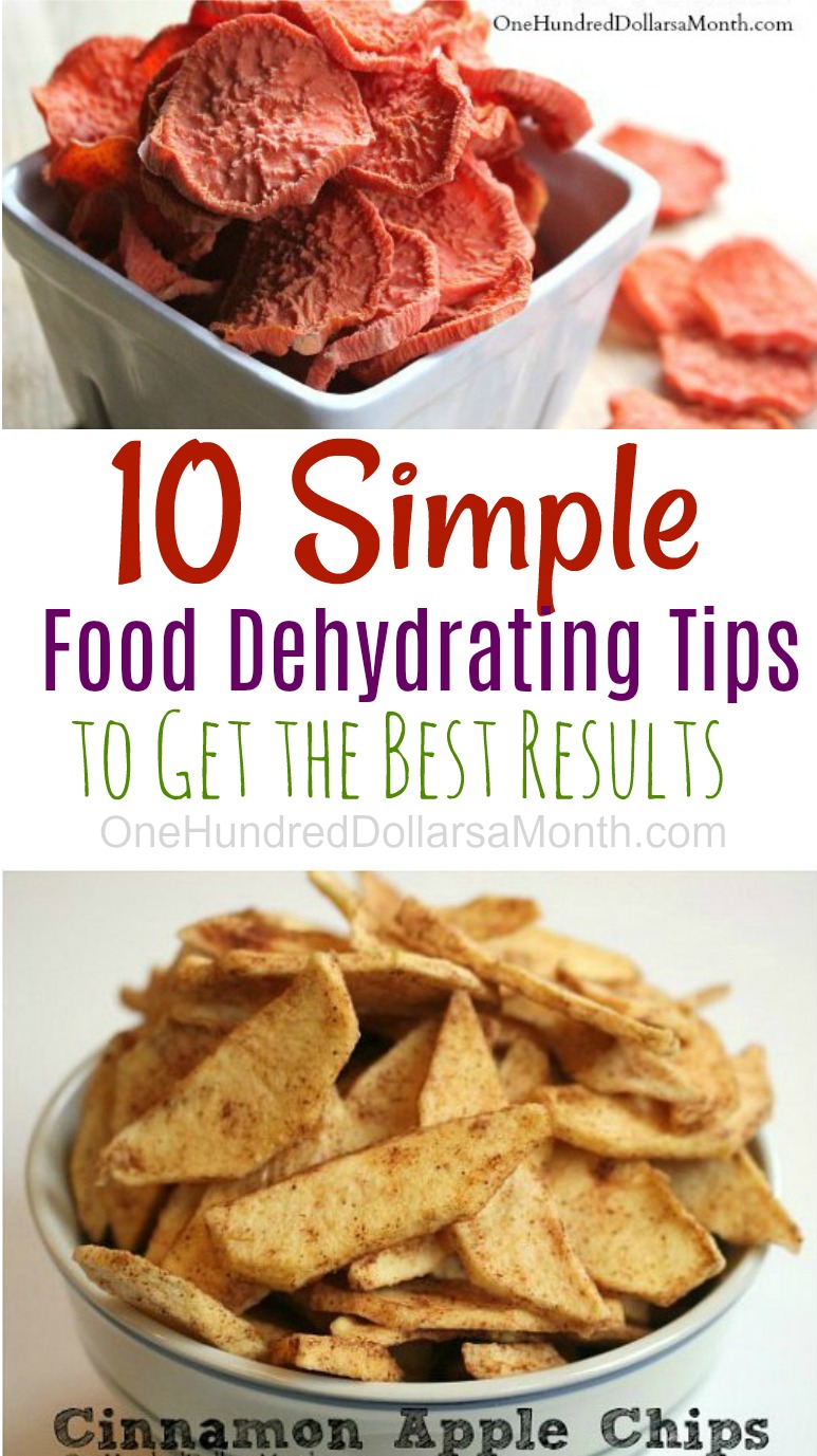 10 Tips for Dehydrating Your Food One Hundred Dollars a Month
