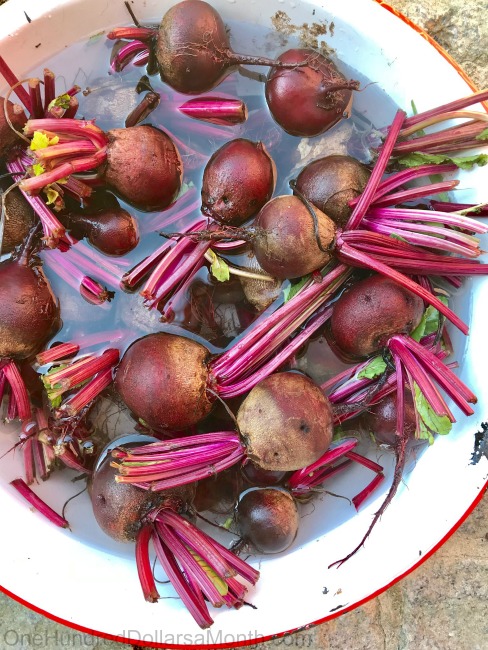 Canning Recipe For Old Fashioned Pickled Beets {No Funky Spices!} - One ...