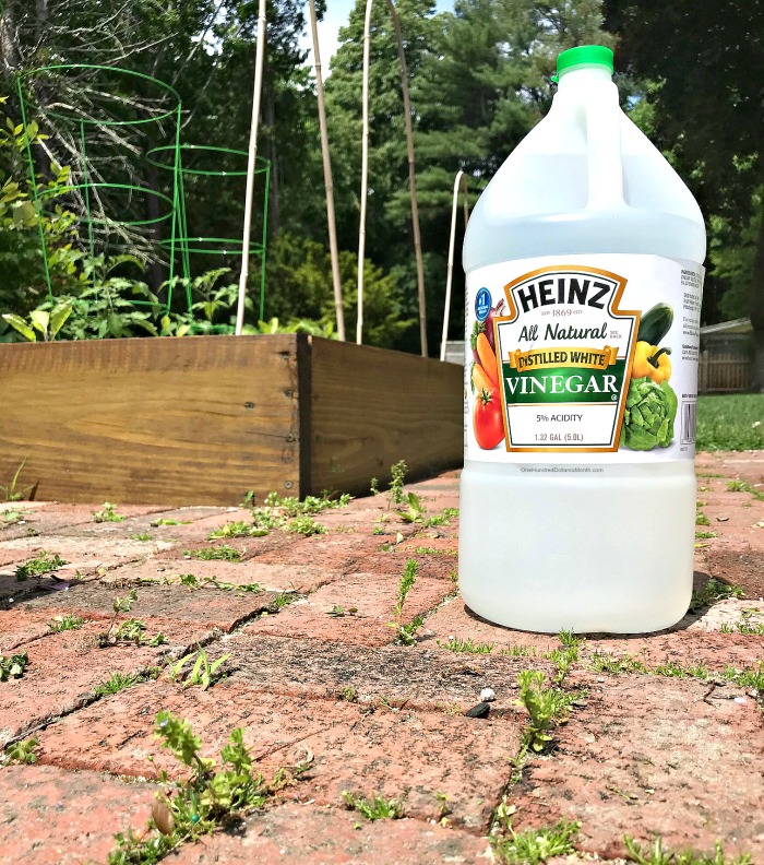 Kill Weeds Naturally with Vinegar - One Hundred Dollars a ...