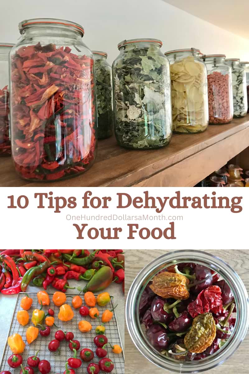 10 Tips for Dehydrating Your Food - One Hundred Dollars a Month