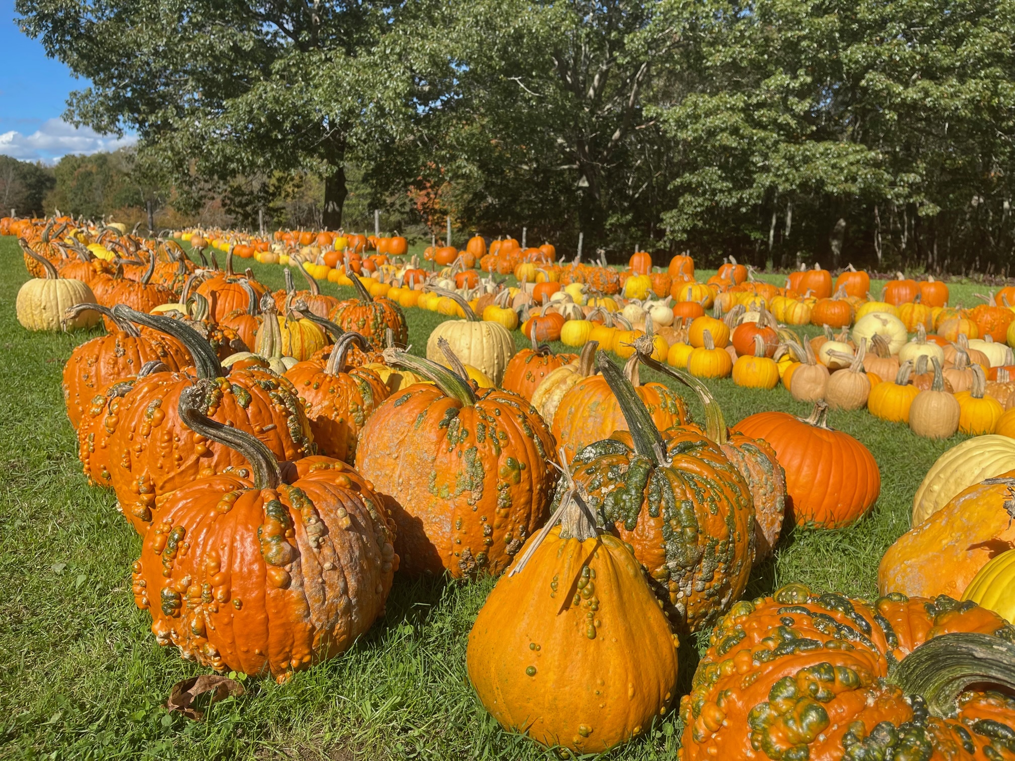 Bull Run Farm – Cushing, Maine