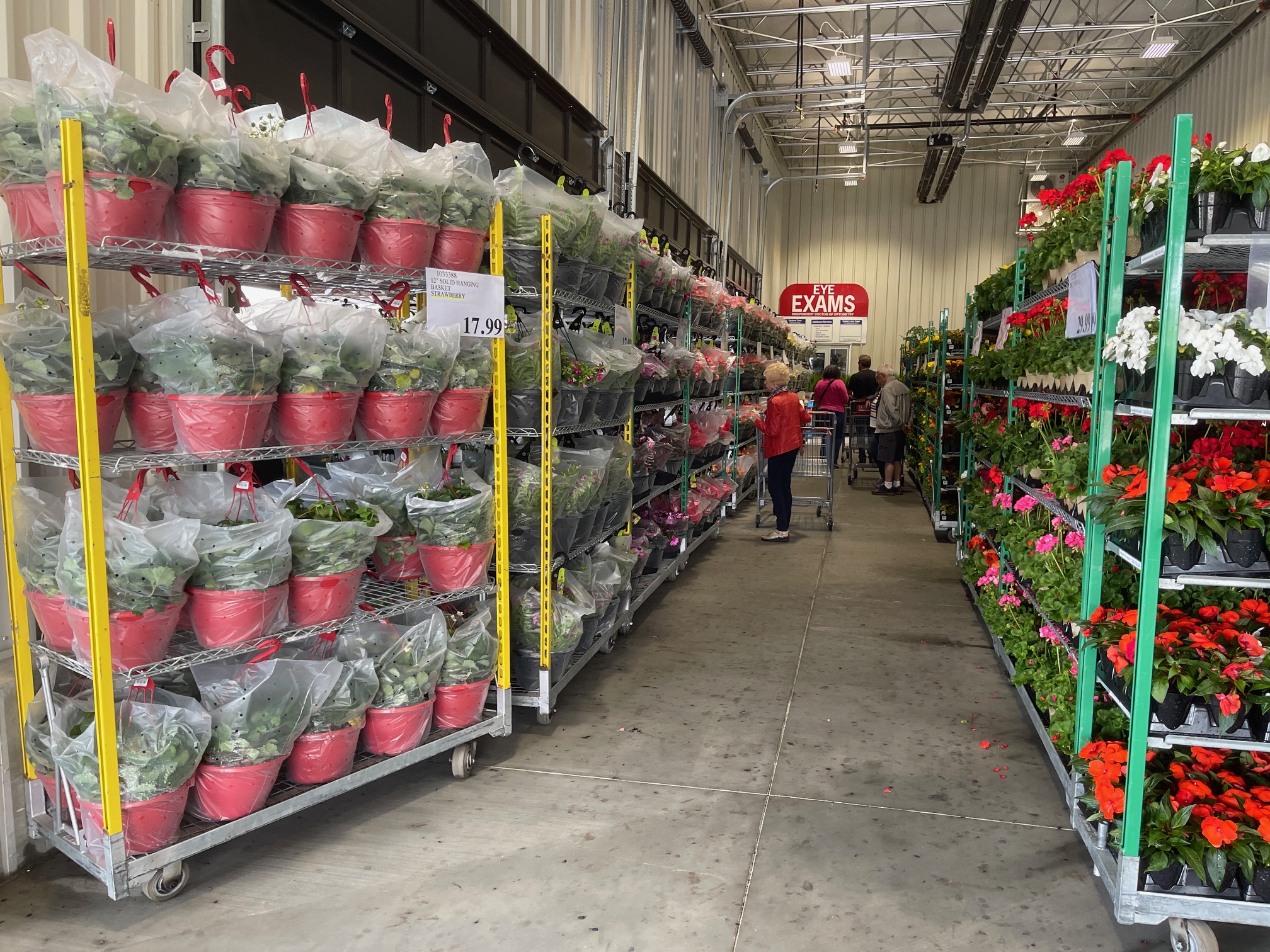 Costco Hanging Baskets And Flowers