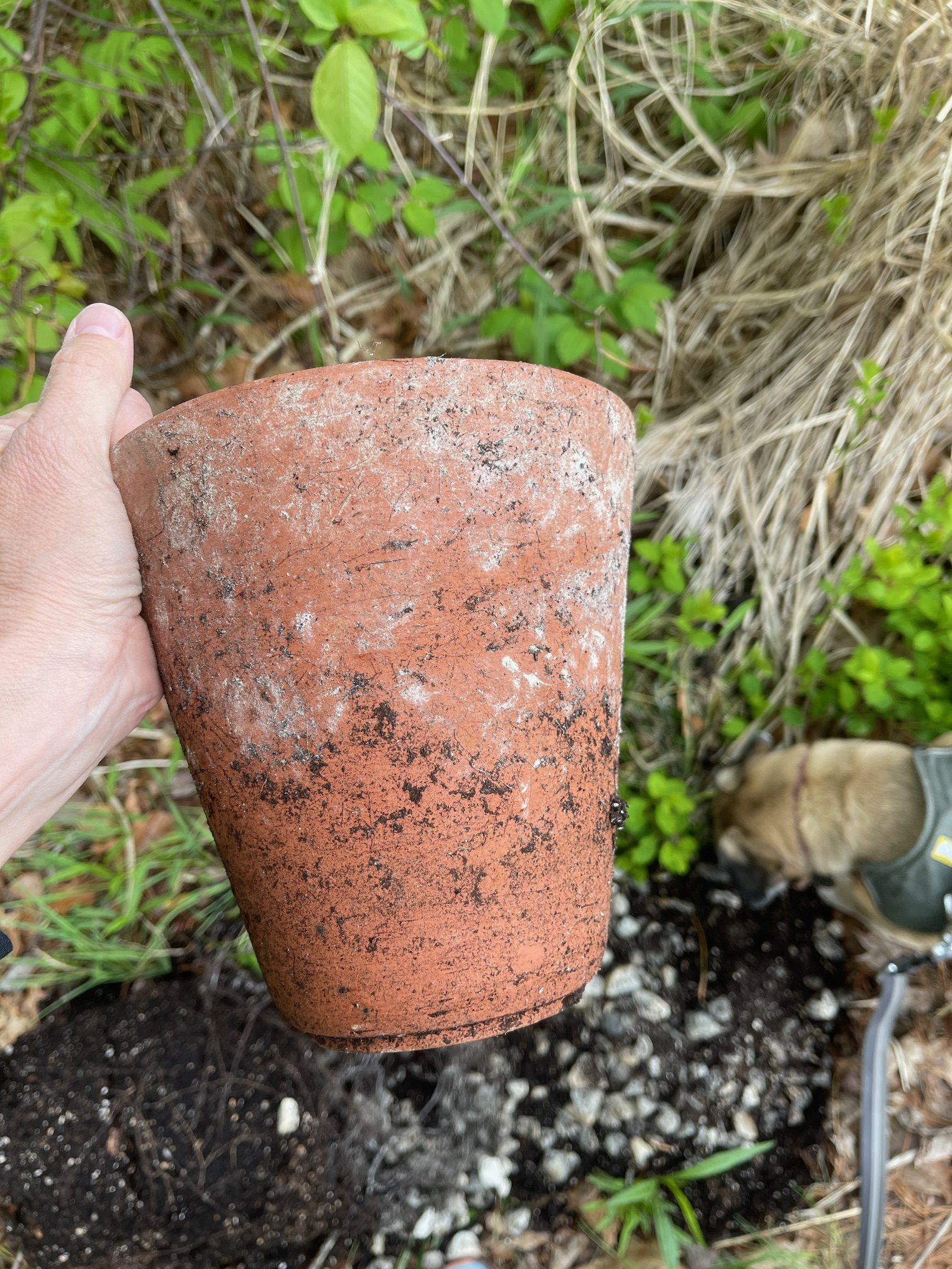 How To Get Free Pots For Plants