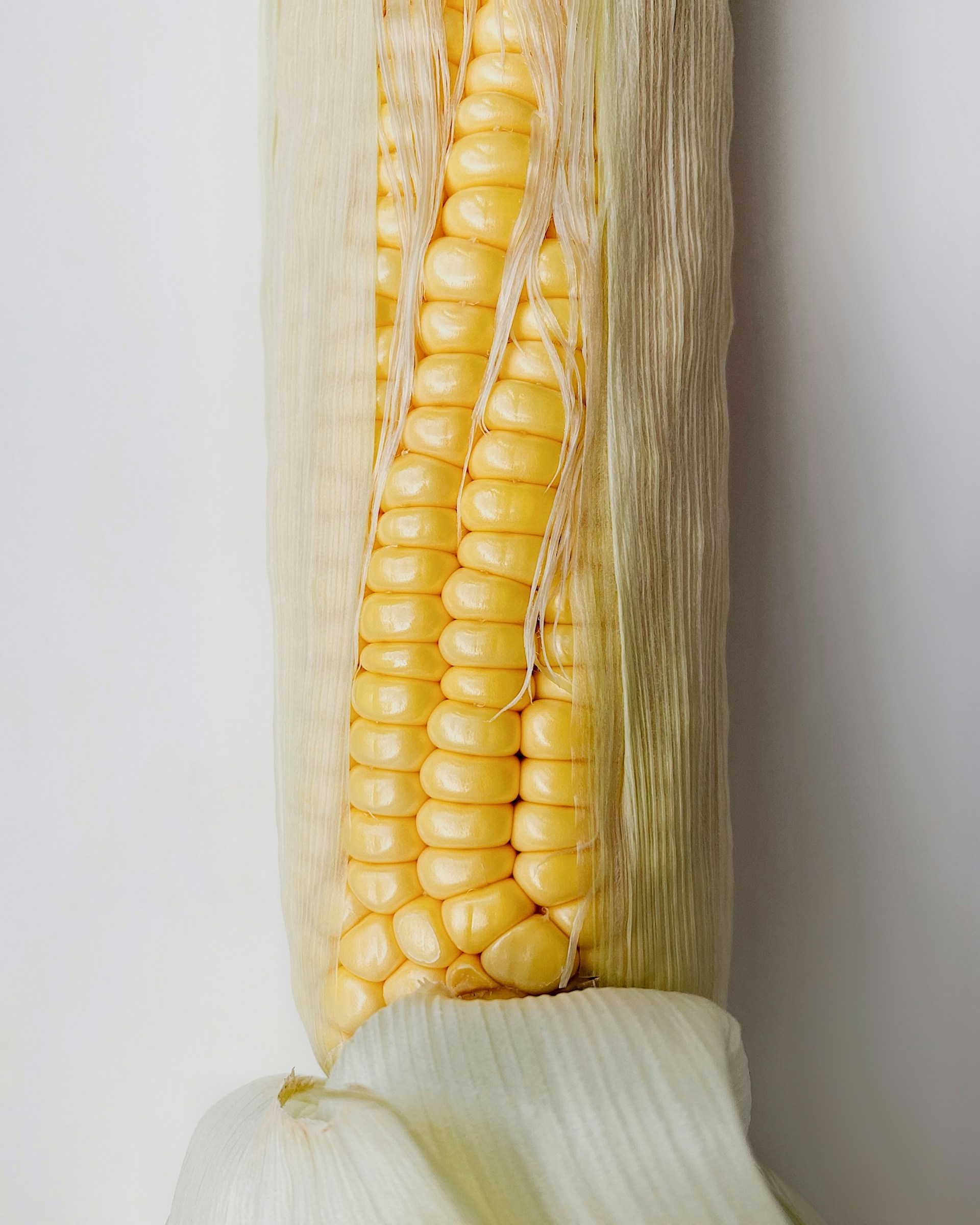 10 Fun Facts About Corn!