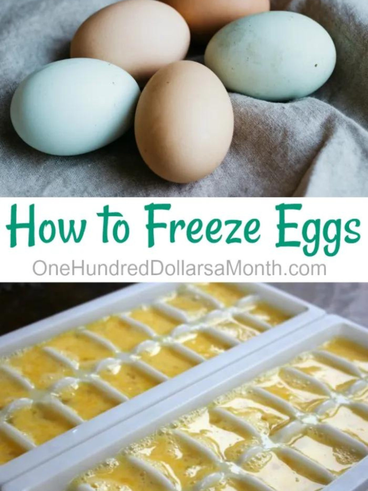 How to Freeze Eggs