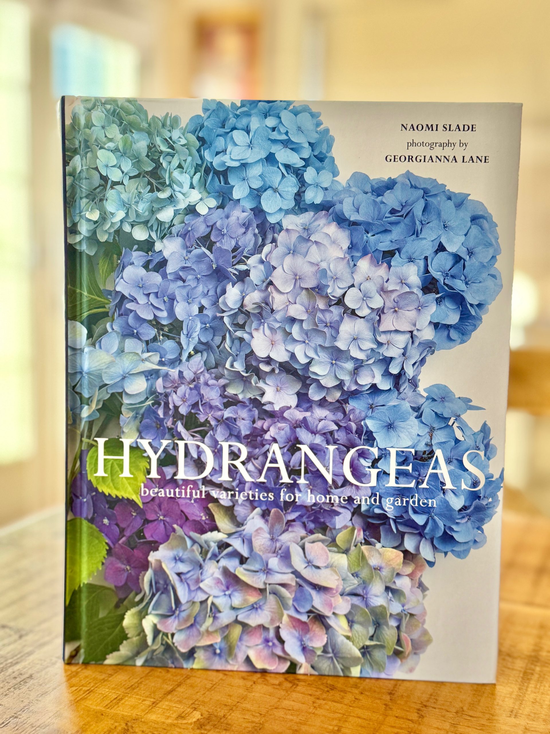 Must Love Hydrangeas – Giveaway