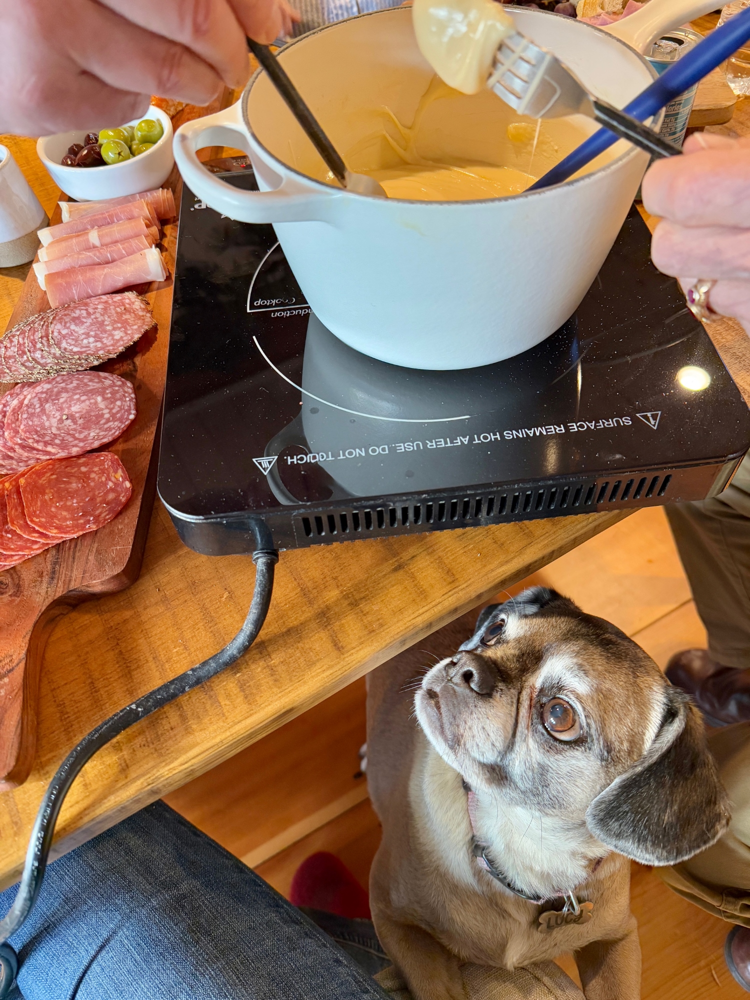 Fondue Party